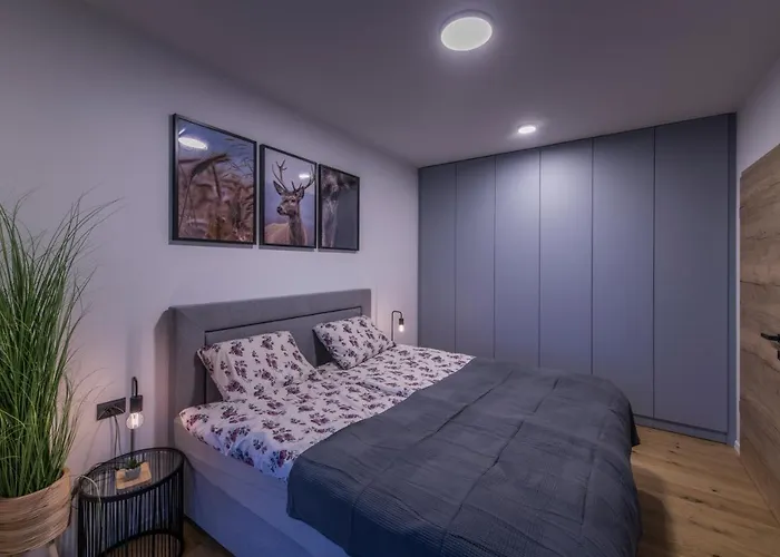 Appartement Apartmaji Harpf Slovenj Gradec